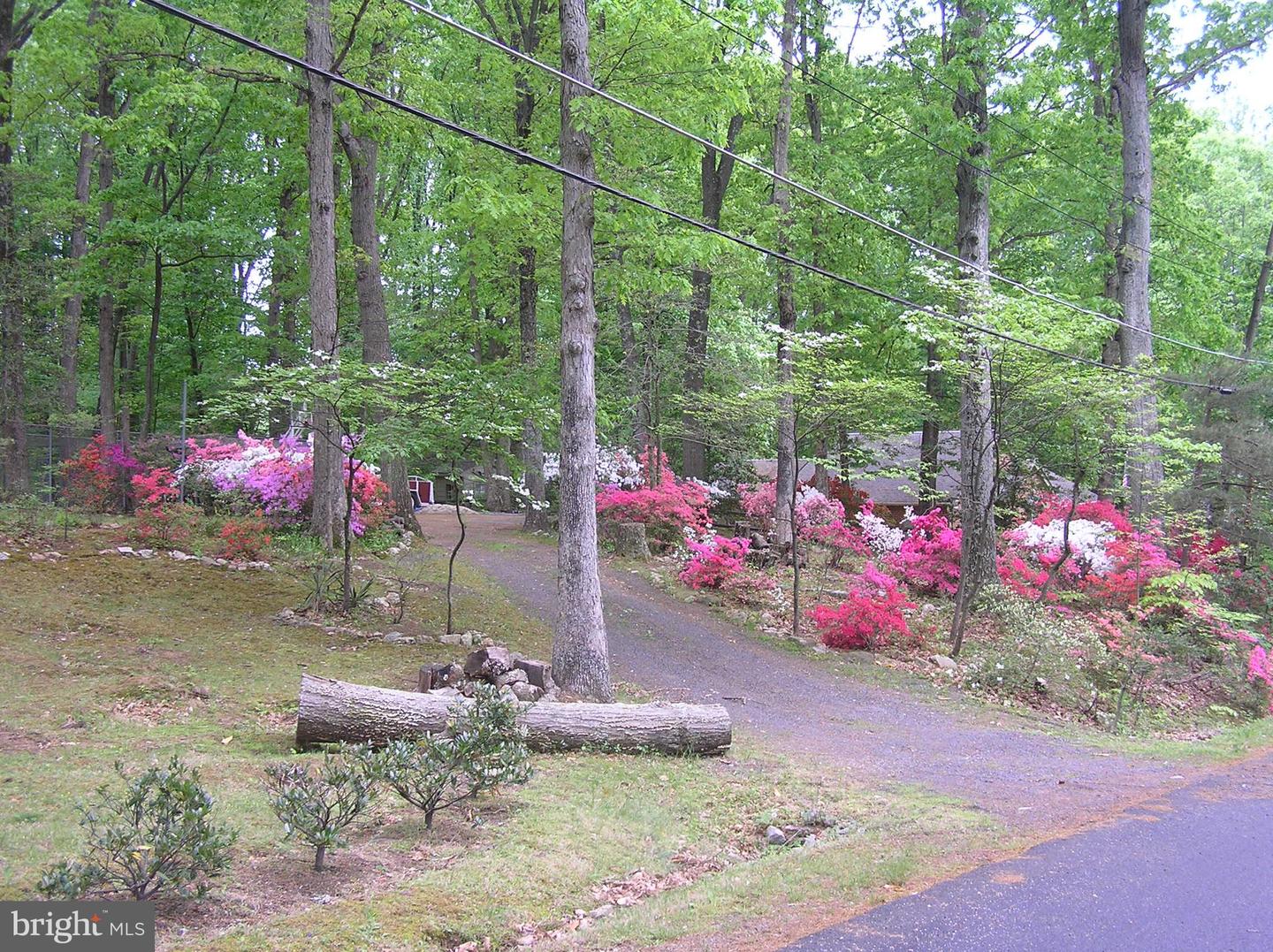 6029 Woodland Ter