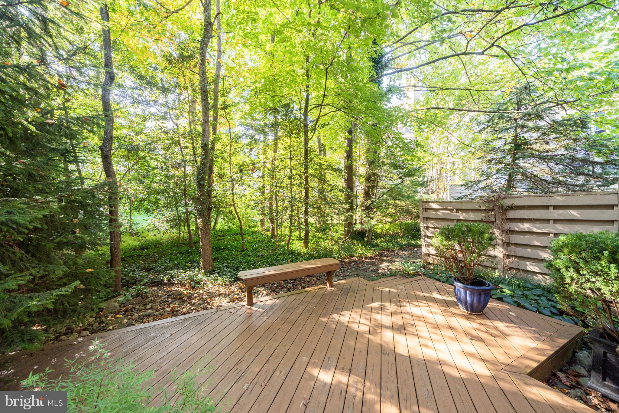 11457 HOLLOW TIMBER COURT