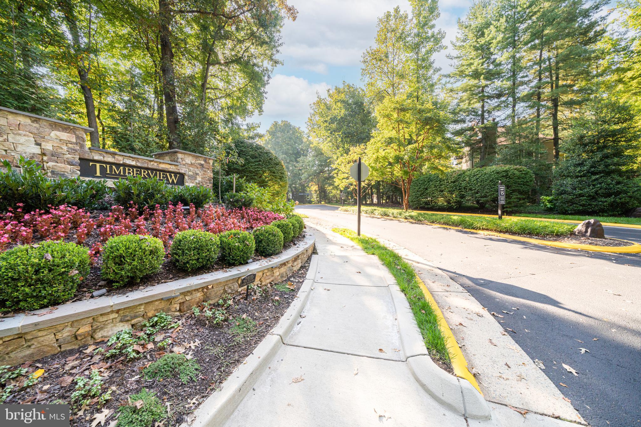 11457 HOLLOW TIMBER COURT