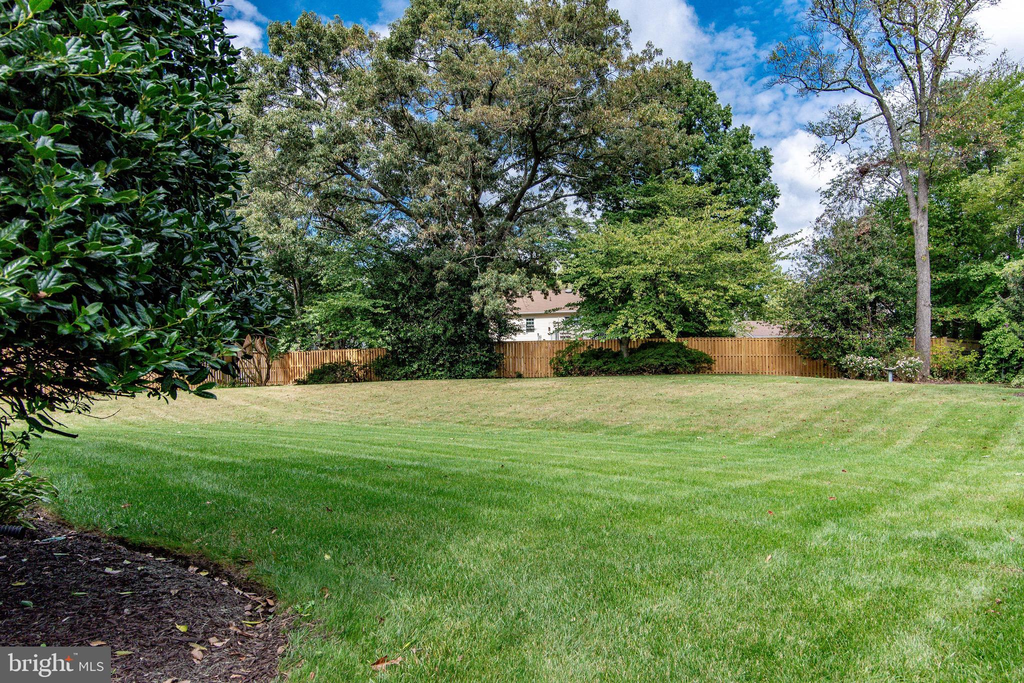 7814 Odell St