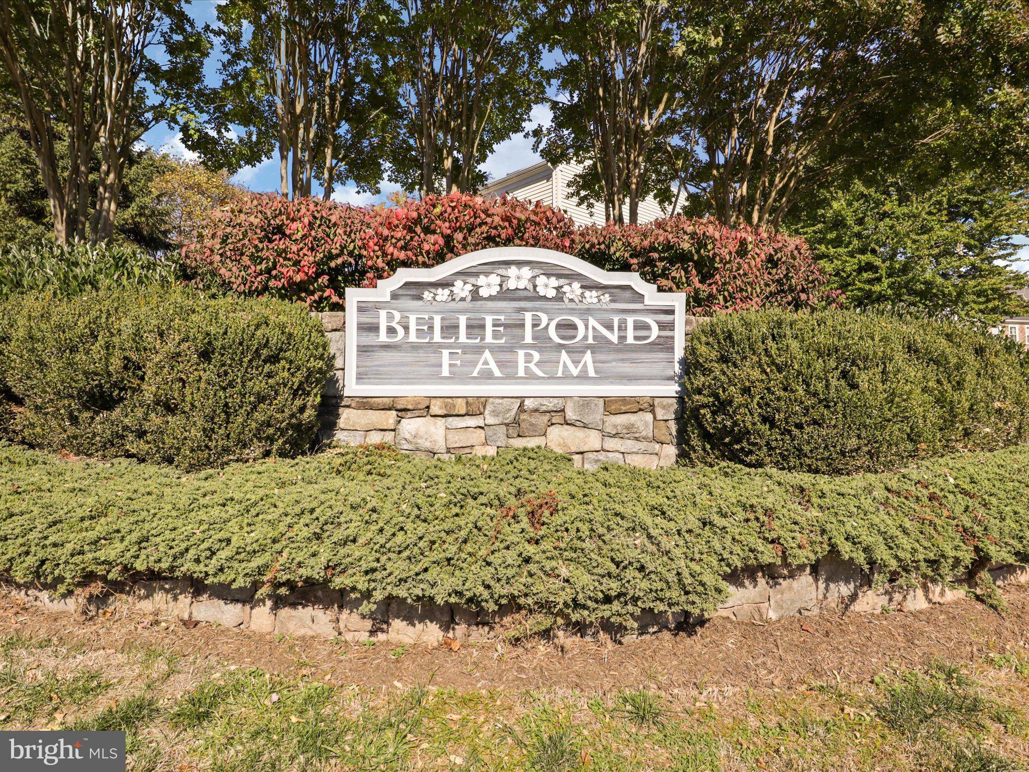5232 Belle Plains Dr