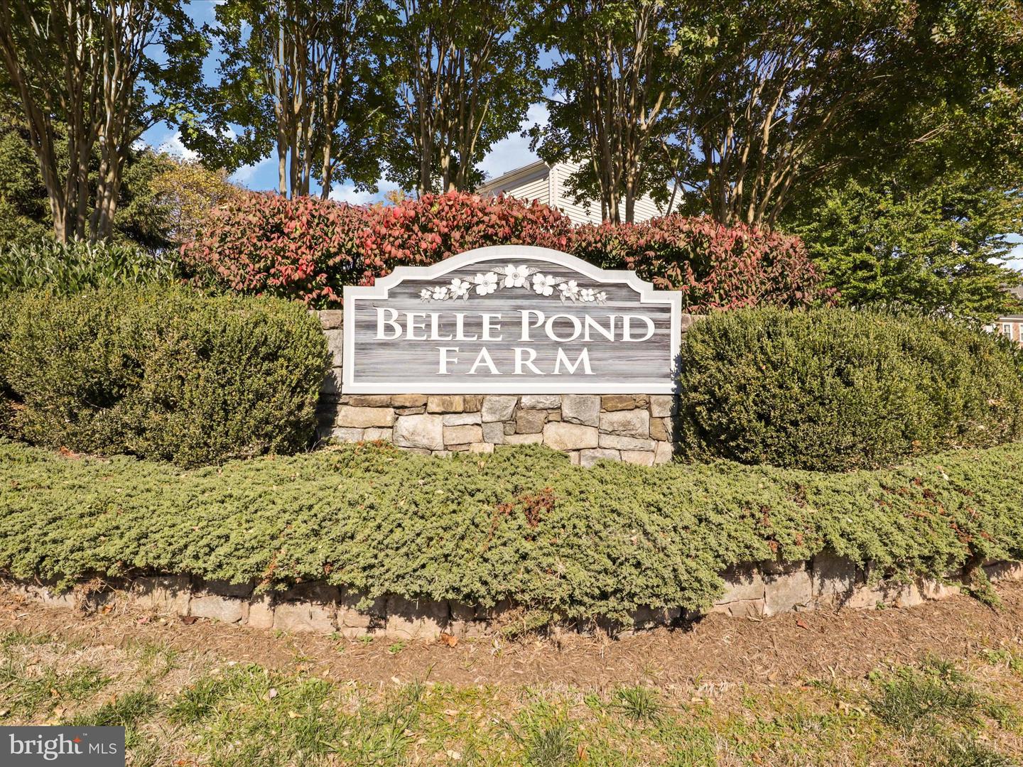 5232 Belle Plains Dr