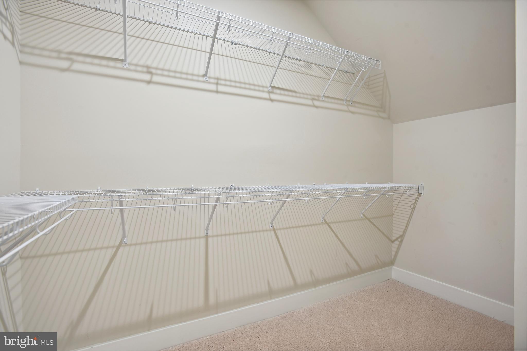 1704 BANDIT LOOP 20A