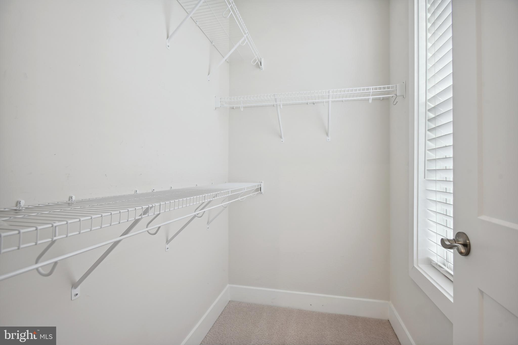 1704 BANDIT LOOP 20A