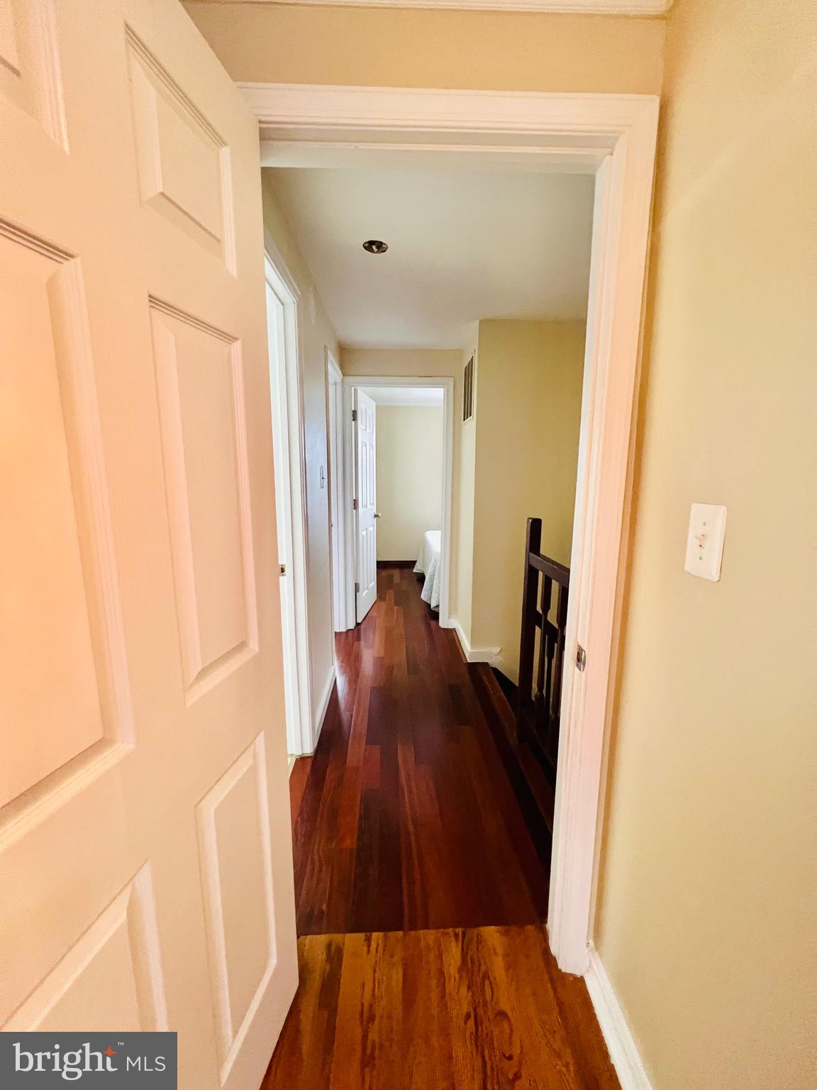 8174 Dark den Cir