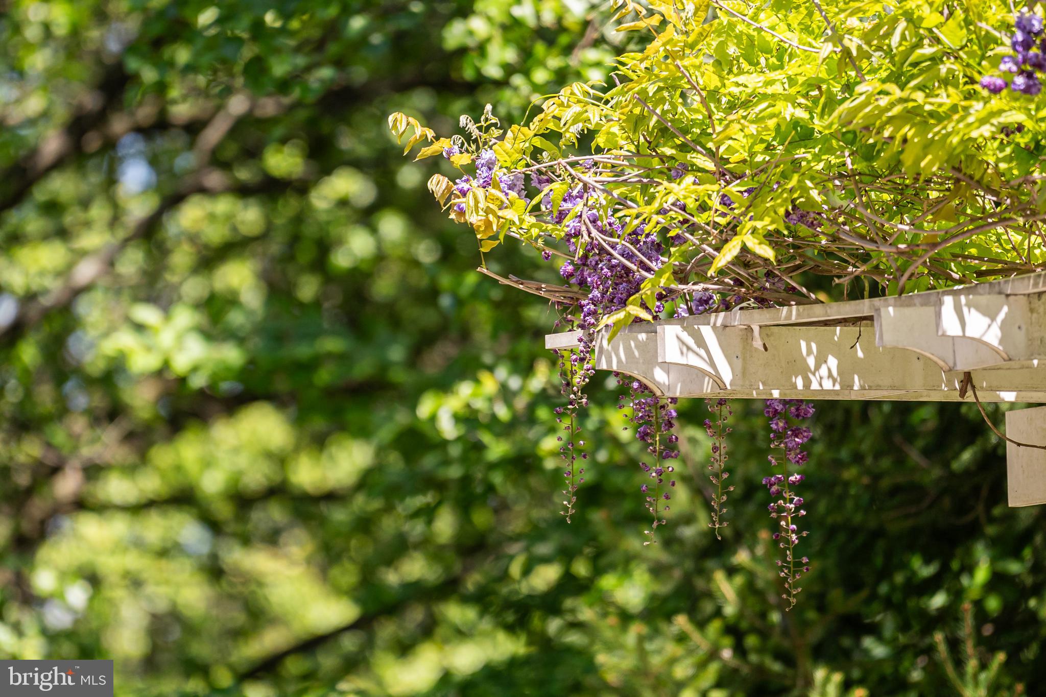 1309 STABLE FARM COURT