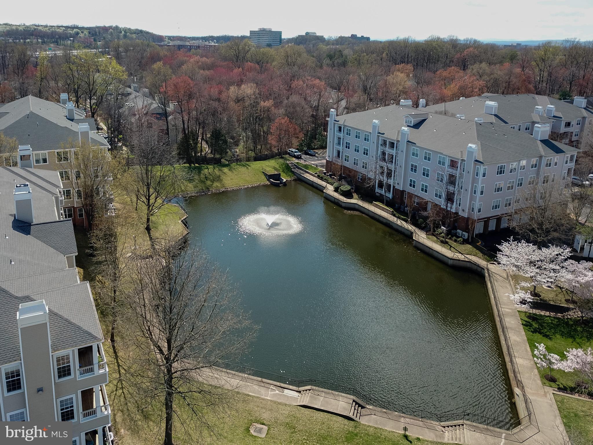 4210-P Mozart Brigade Ln #P