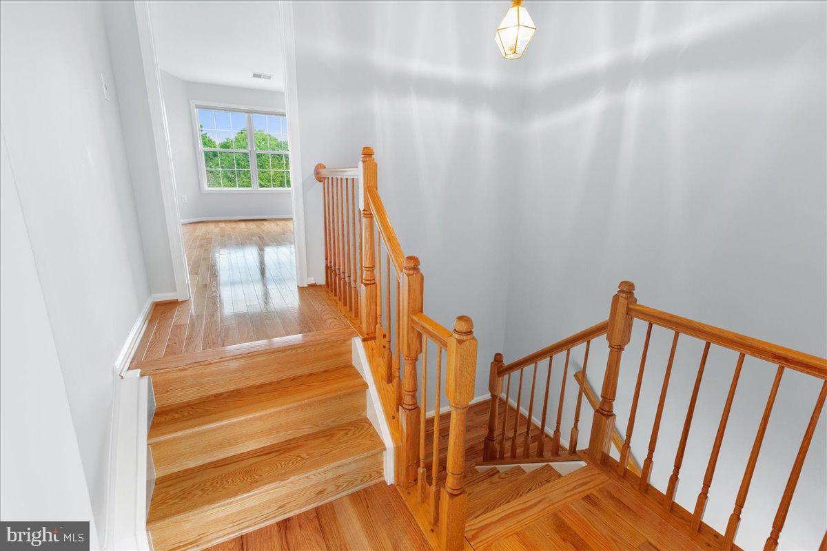 6003 MILL COVE CT