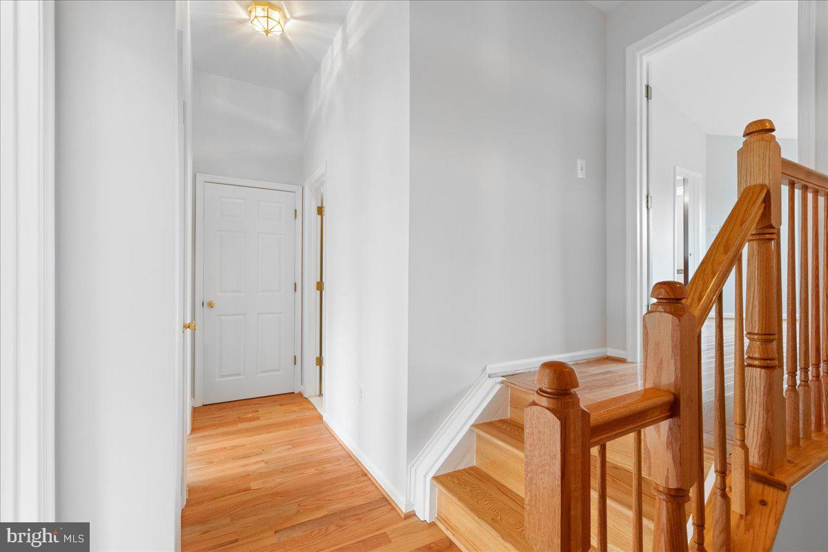 6003 MILL COVE CT