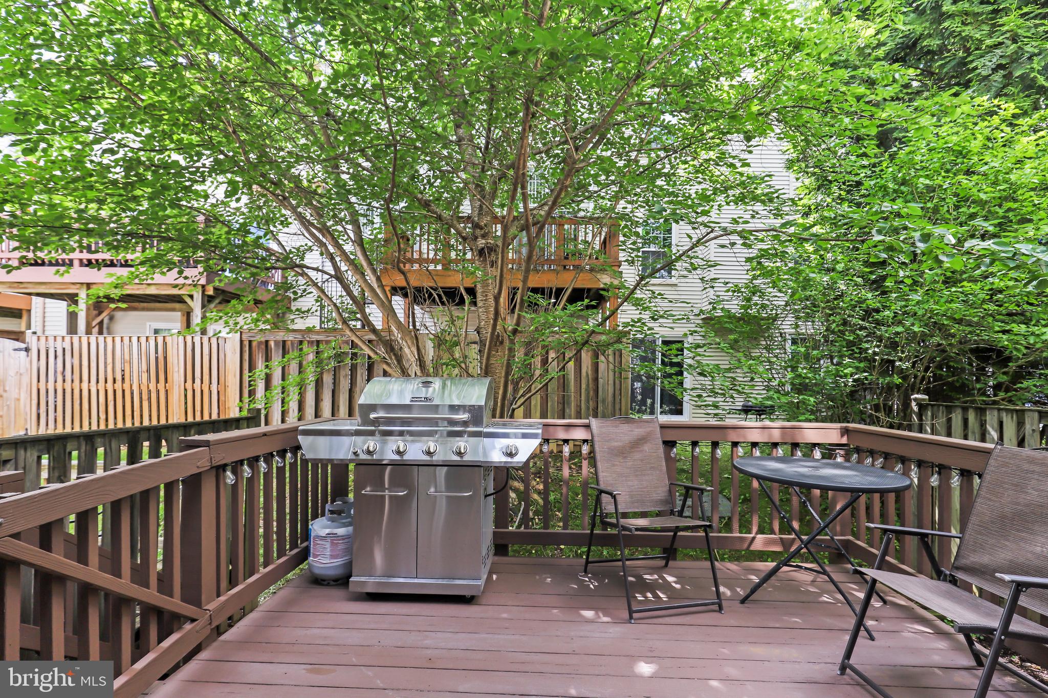 12294 Wye Oak Commons Cir #103