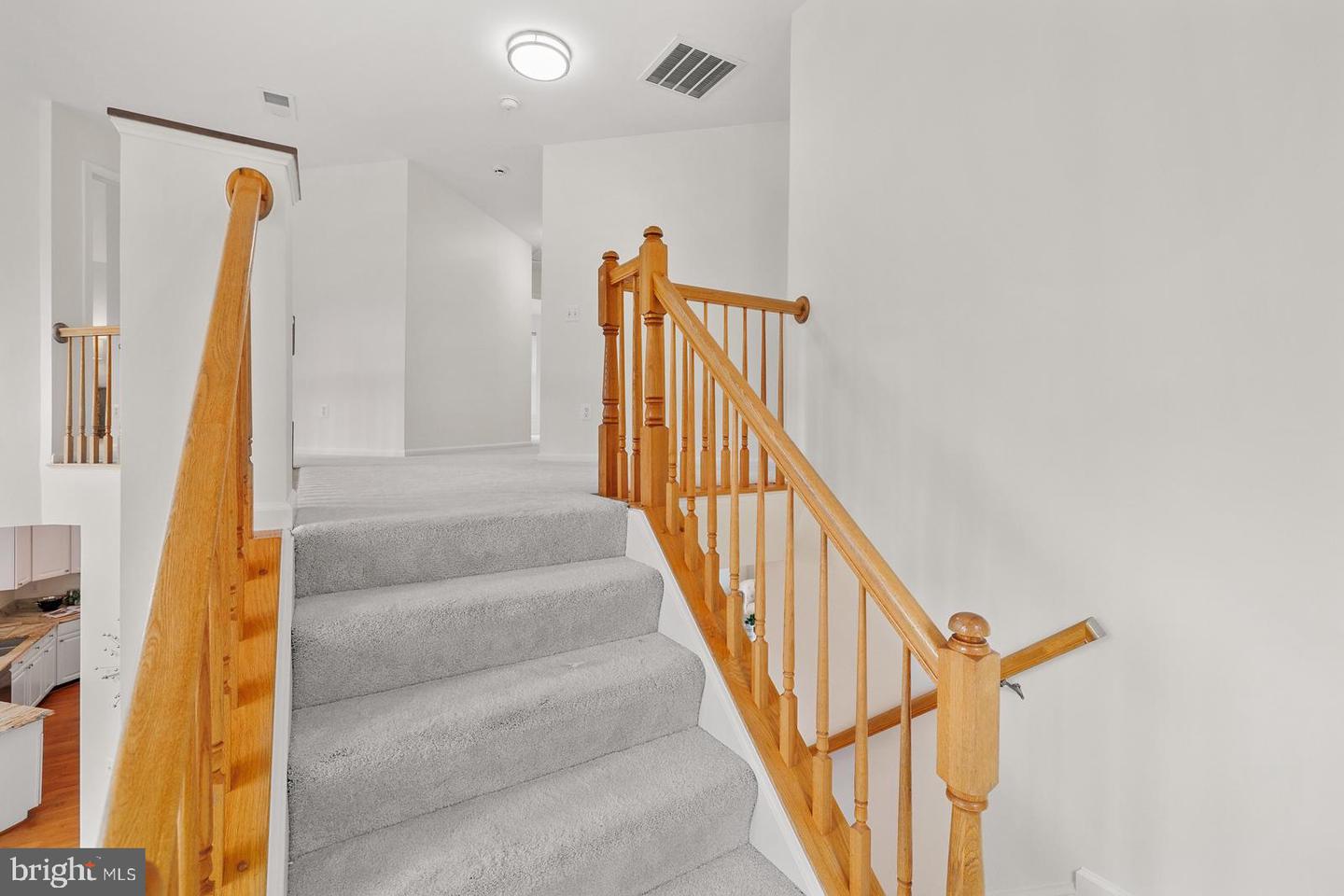 3110 White Daisy Pl