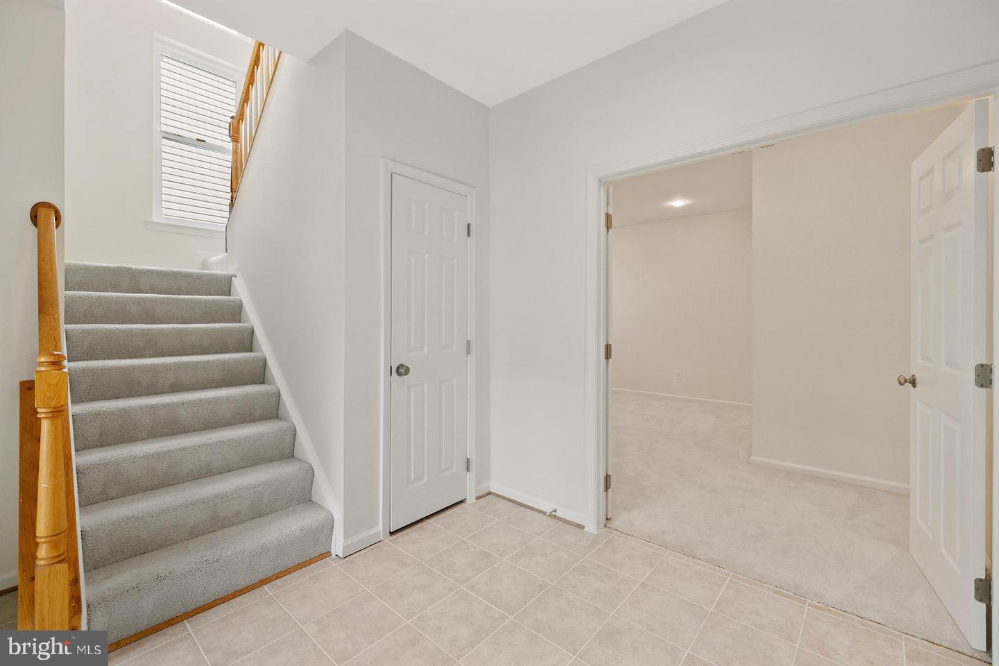 3110 White Daisy Pl