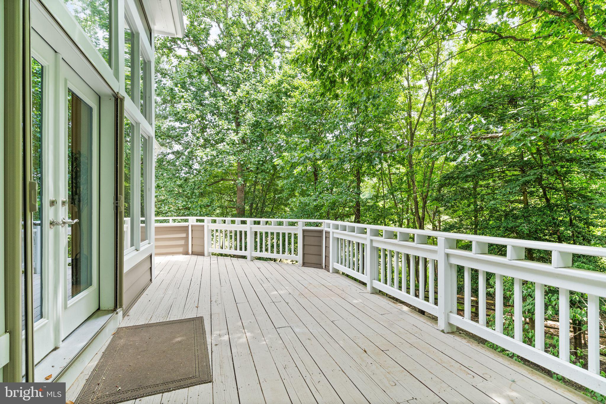 11301 Bright Pond Ln