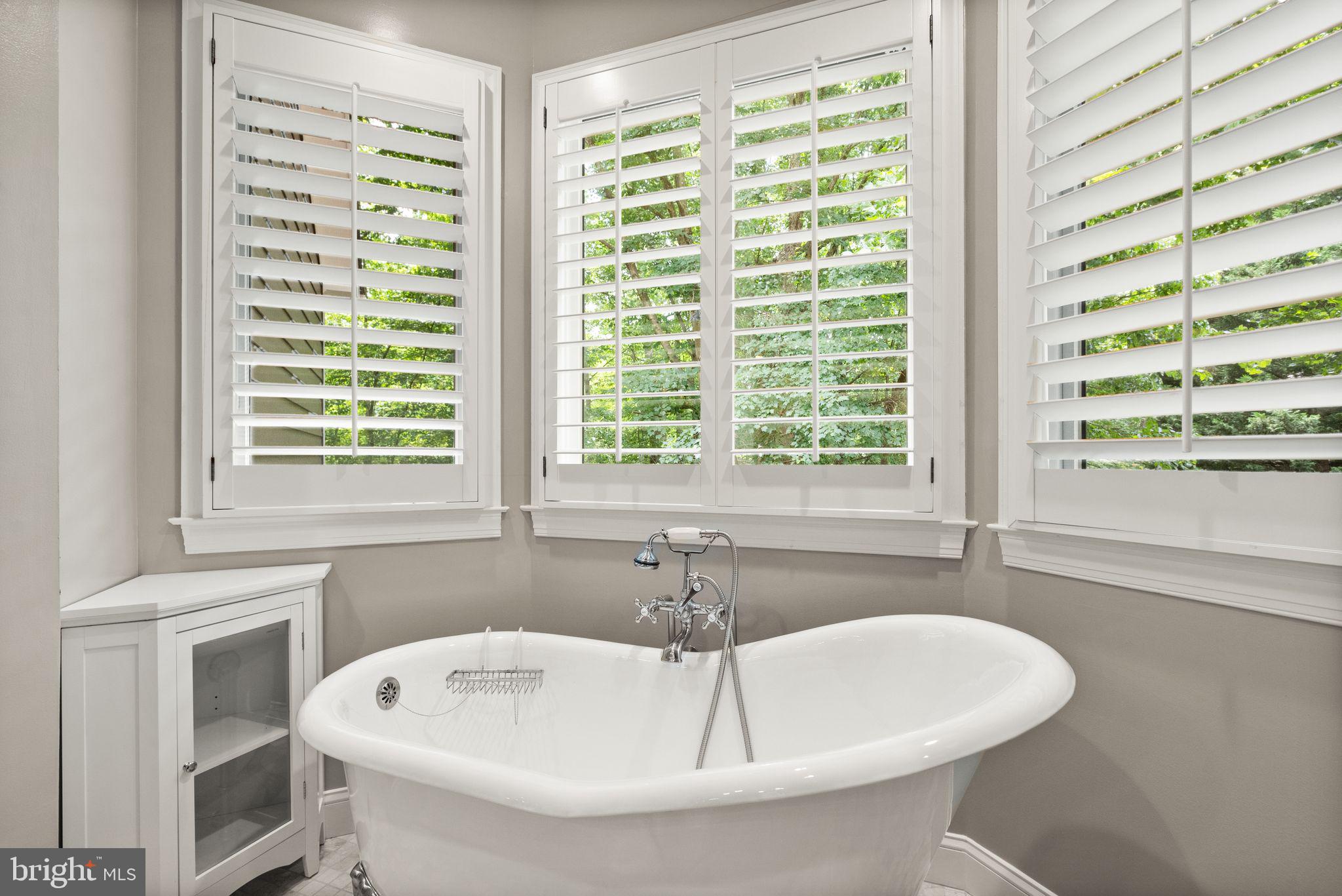 11301 Bright Pond Ln