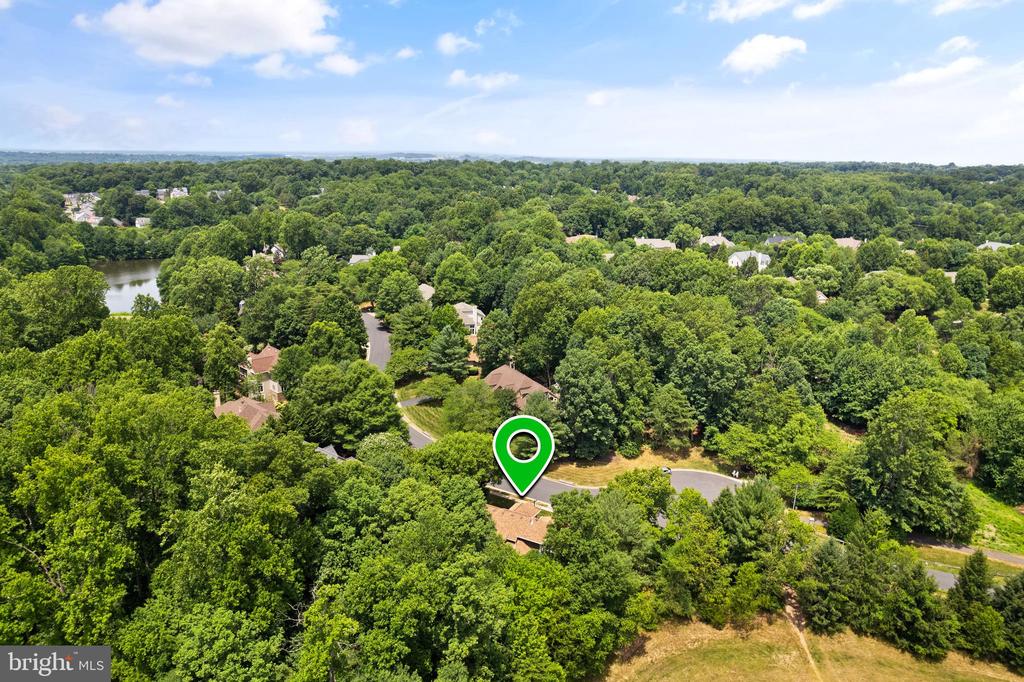 11301 Bright Pond Ln