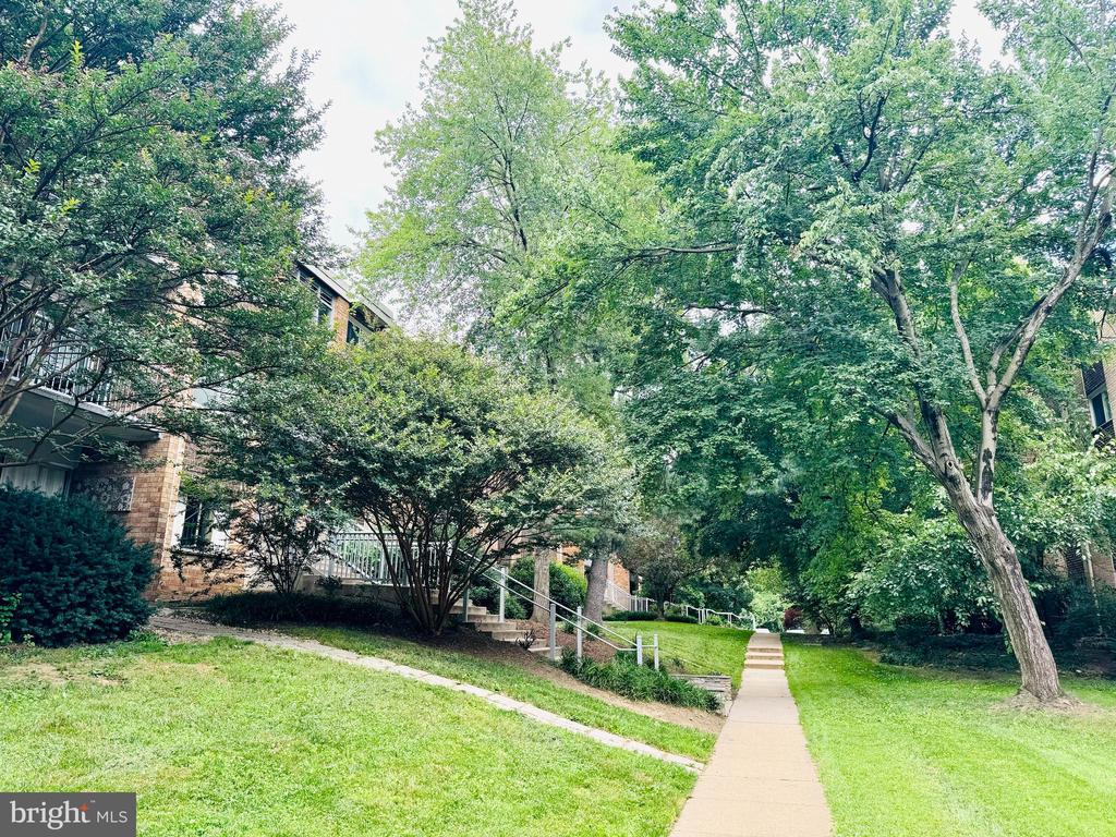 2906 Kings Chapel Rd #8