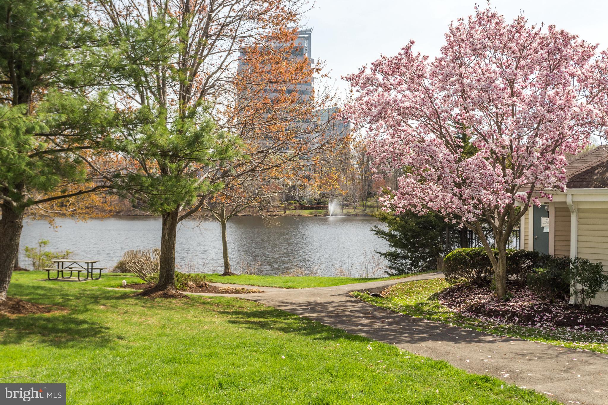 7735 Inversham Dr #174