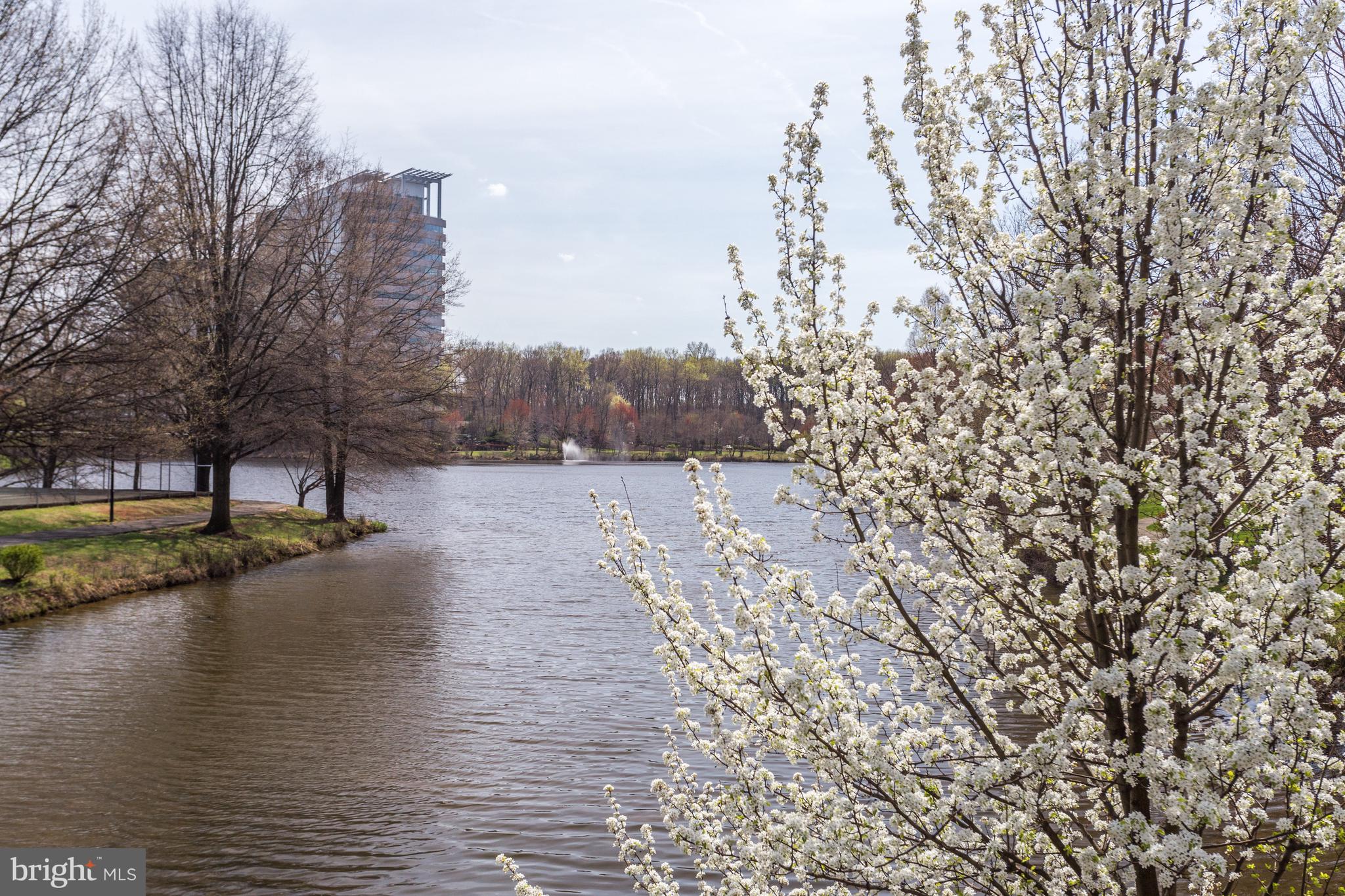 7735 Inversham Dr #174