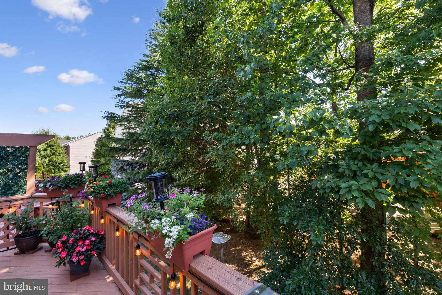 4177 Vernoy Hills Rd