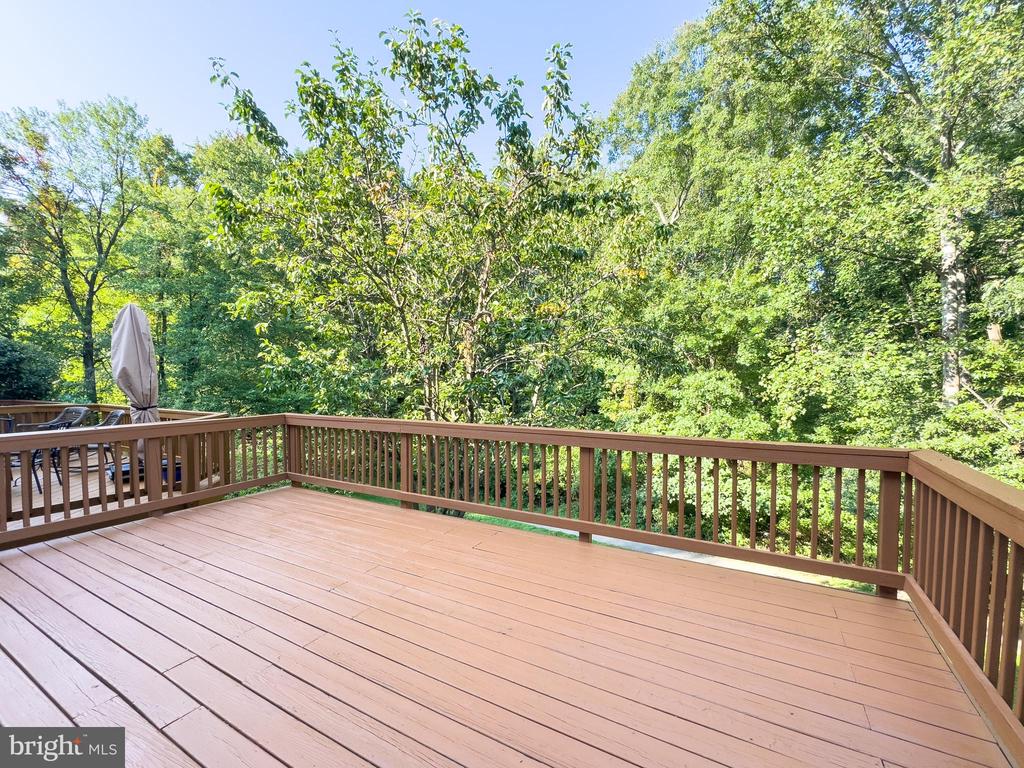 10186 Sassafras Woods Ct