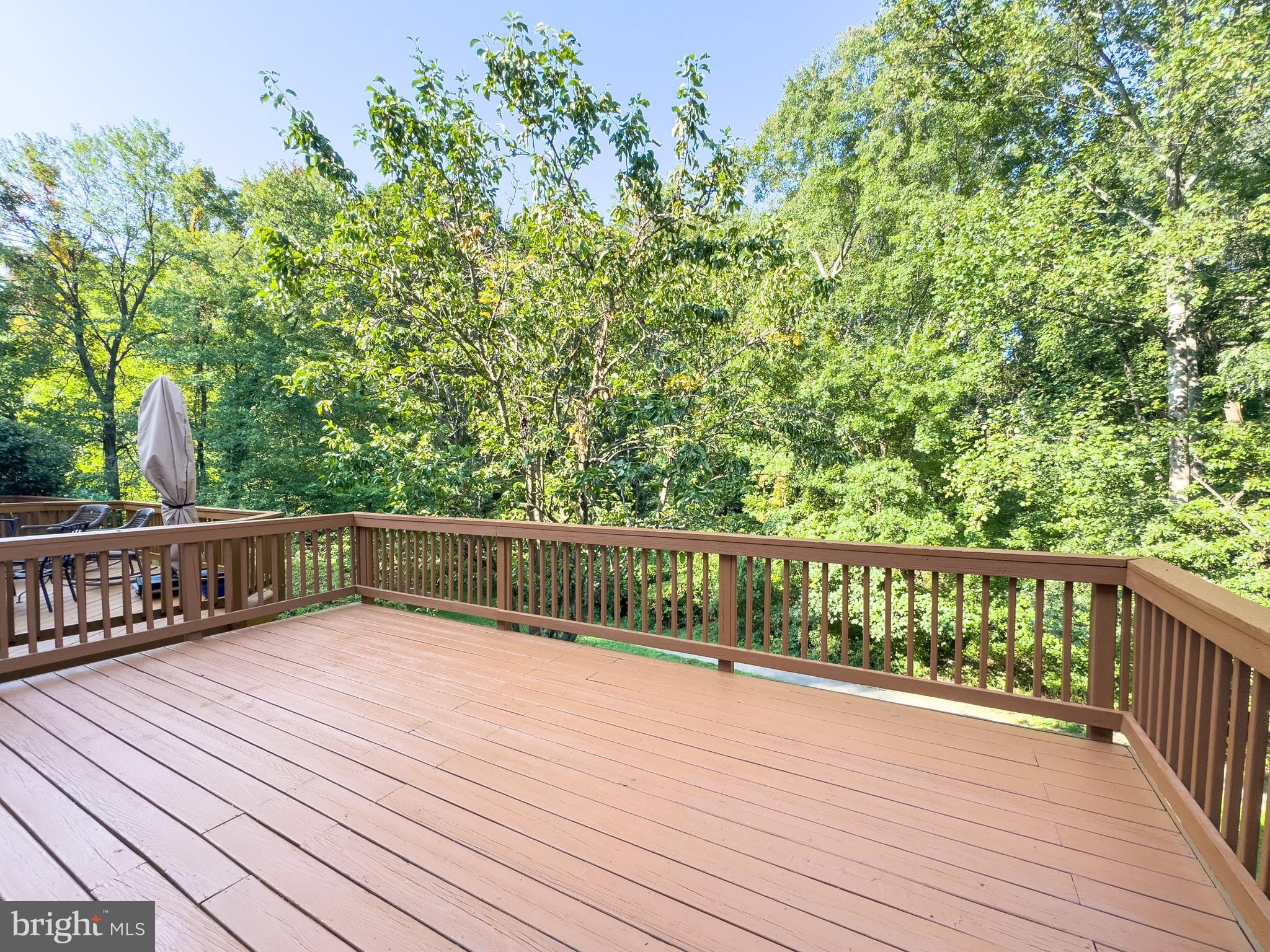 10186 Sassafras Woods Ct