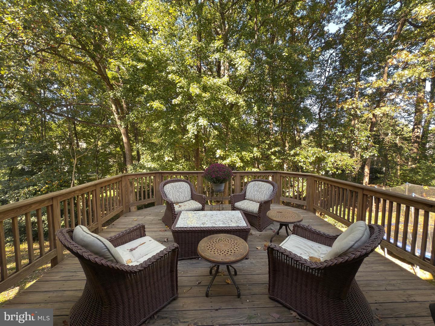 1319 WEDGEWOOD MANOR WAY