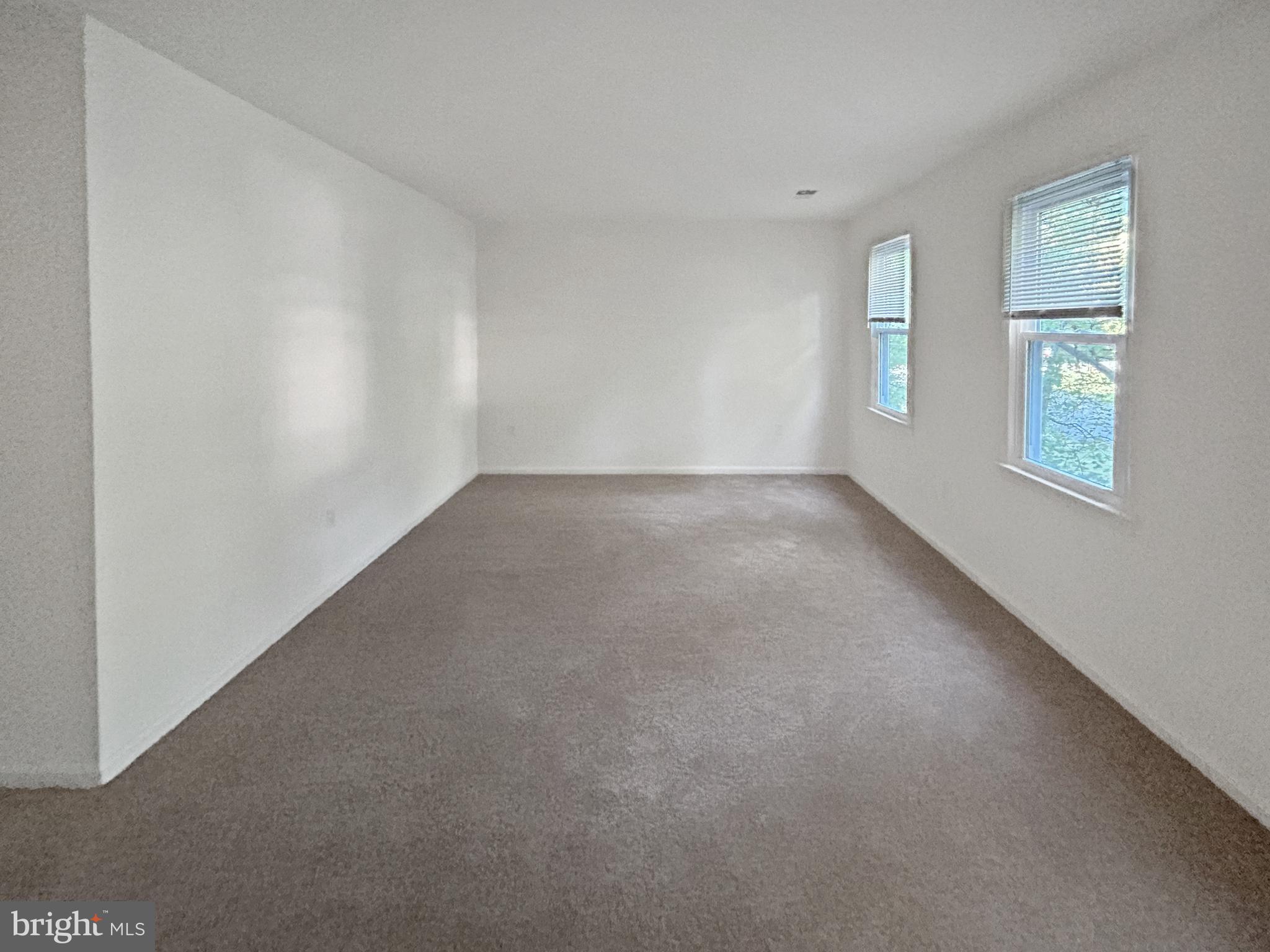 922 CUP LEAF HOLLY COURT