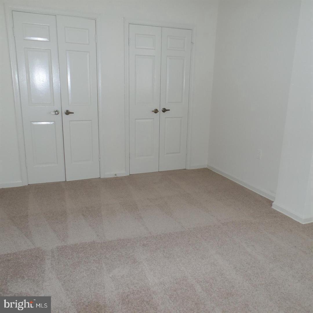 922 CUP LEAF HOLLY COURT