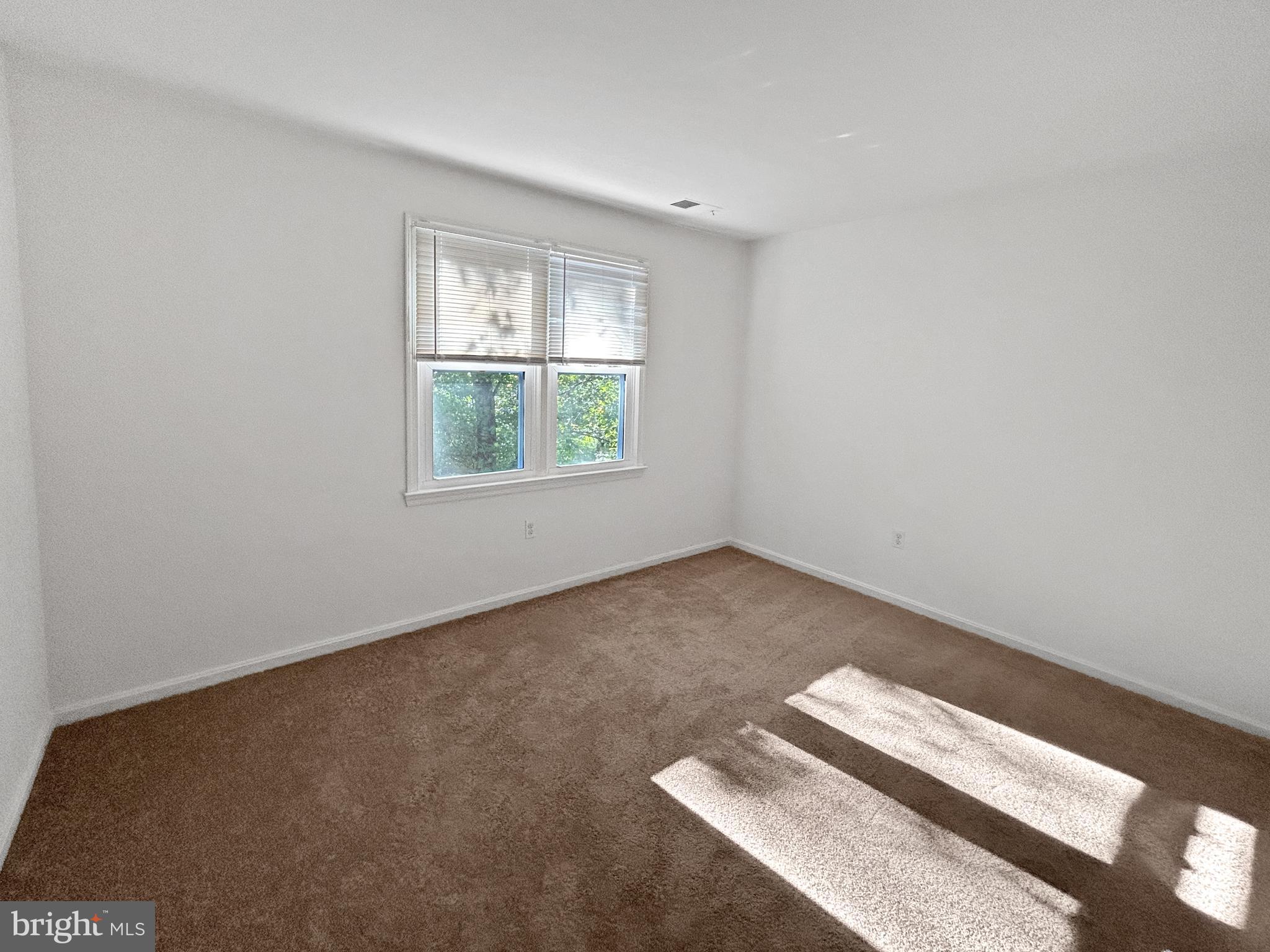 922 CUP LEAF HOLLY COURT