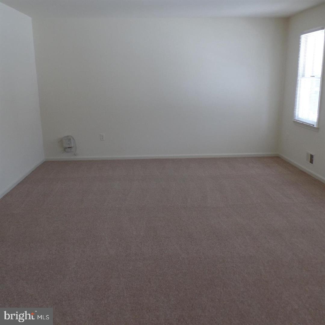 922 CUP LEAF HOLLY COURT