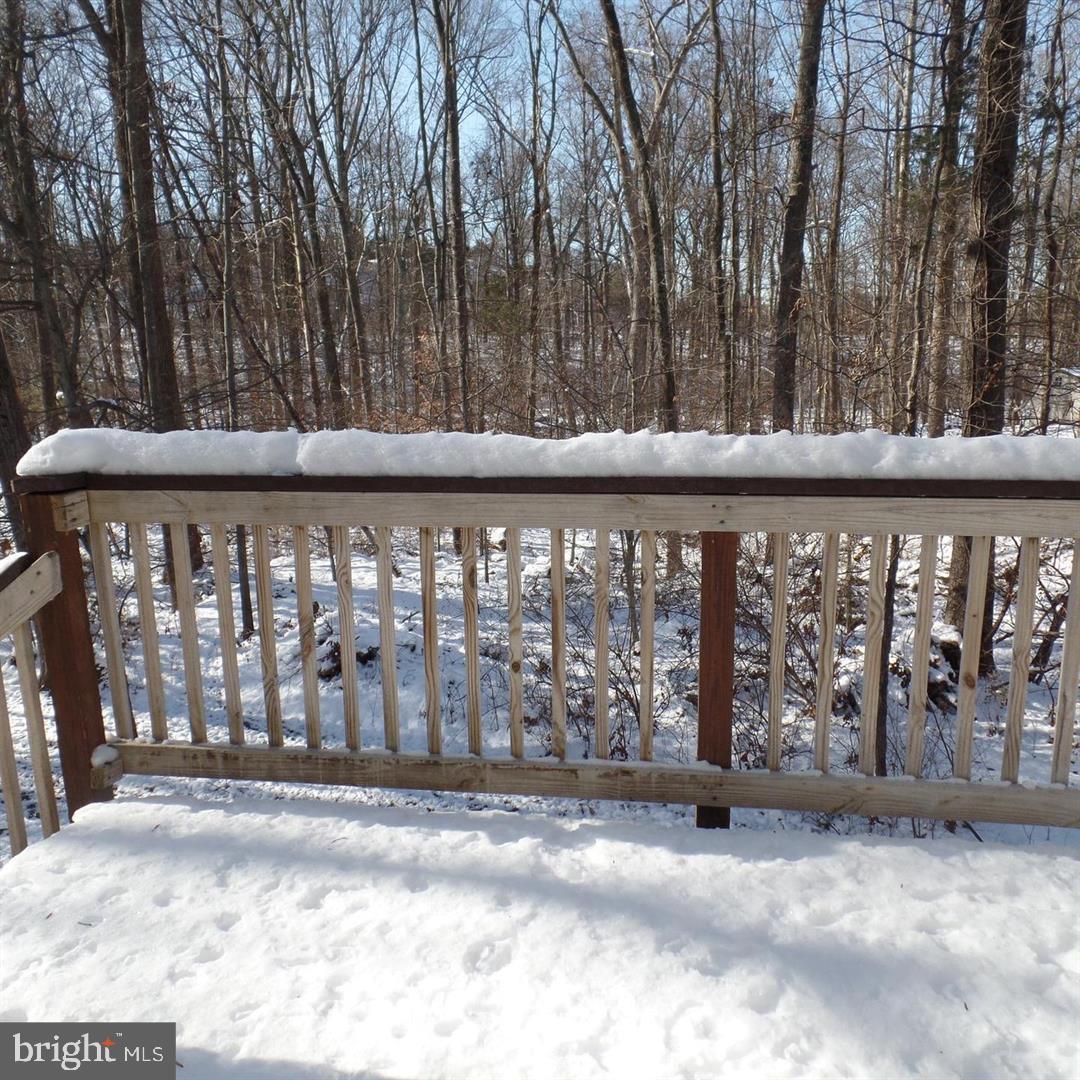 922 CUP LEAF HOLLY COURT