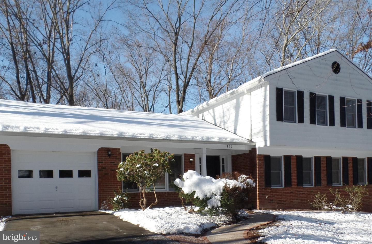 922 CUP LEAF HOLLY COURT