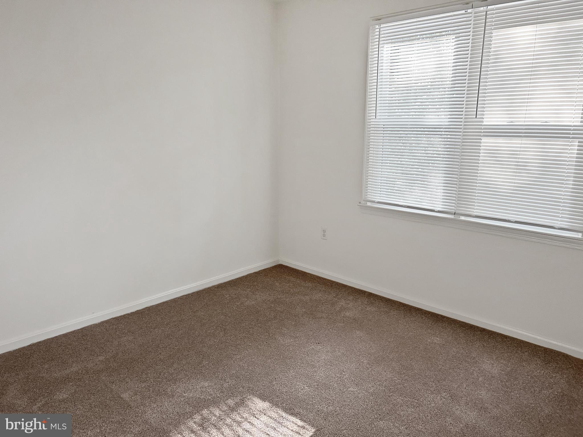 922 CUP LEAF HOLLY COURT