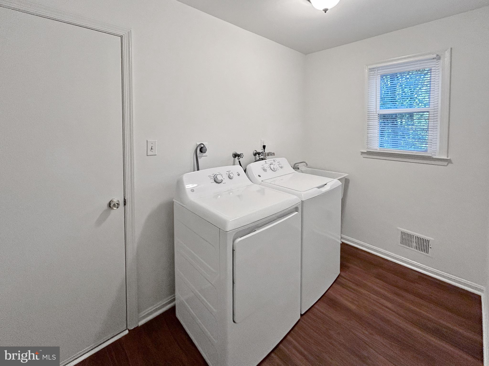 922 CUP LEAF HOLLY COURT