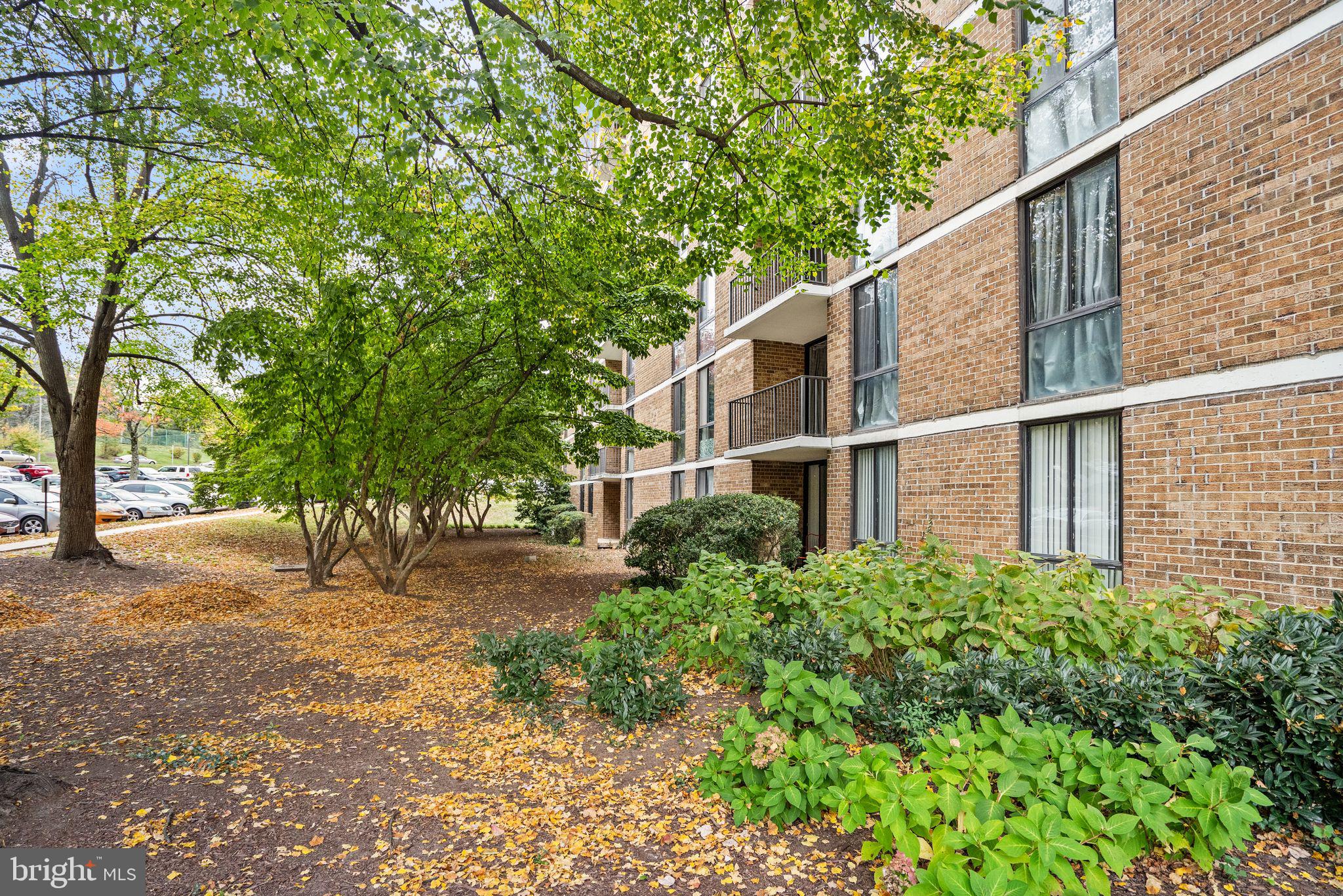 2300 PIMMIT DRIVE 116