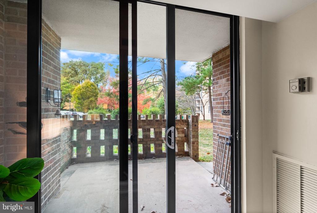 2300 PIMMIT DRIVE 116