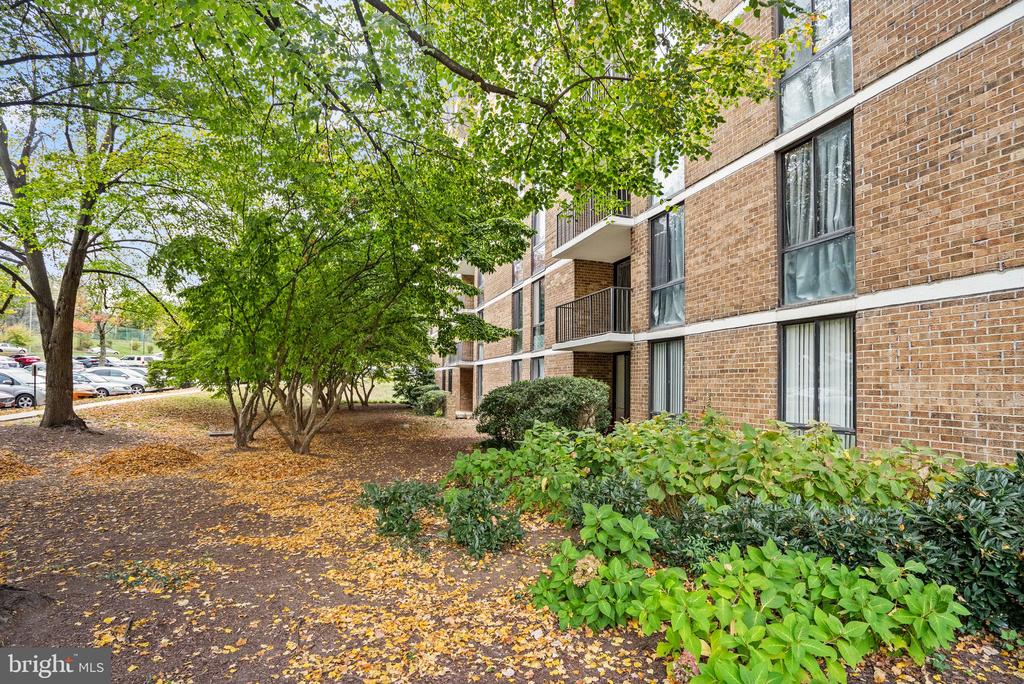 2300 PIMMIT DRIVE 116