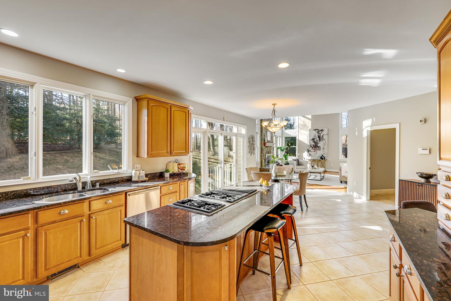 11001 Green Branch Ct