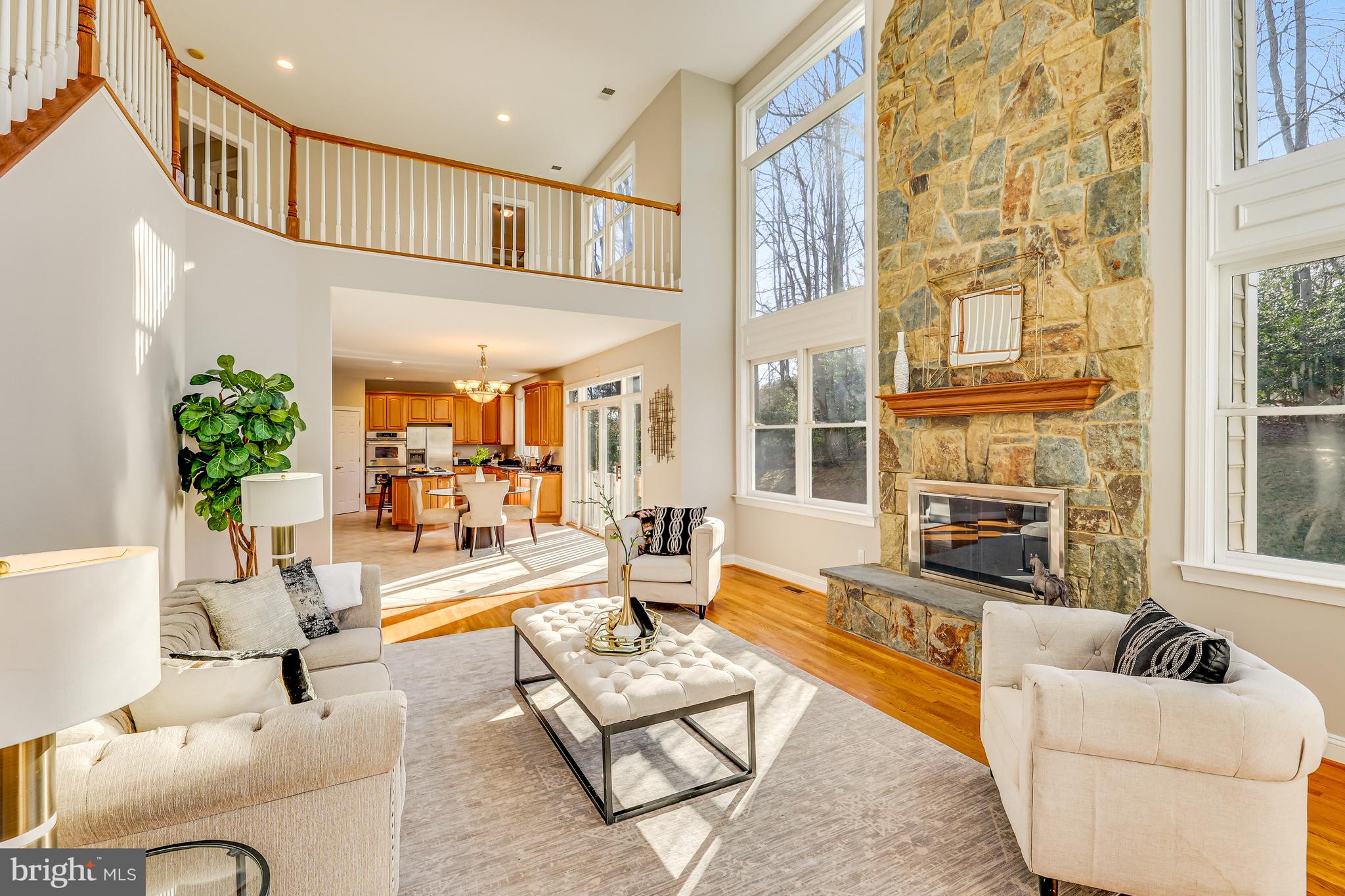 11001 Green Branch Ct