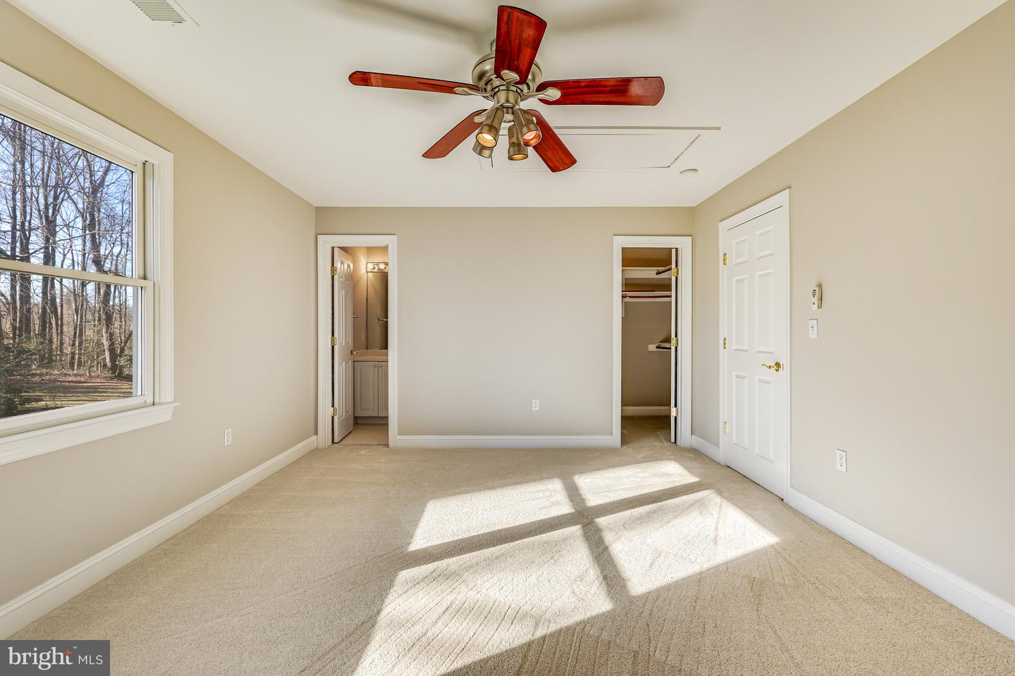 11001 Green Branch Ct