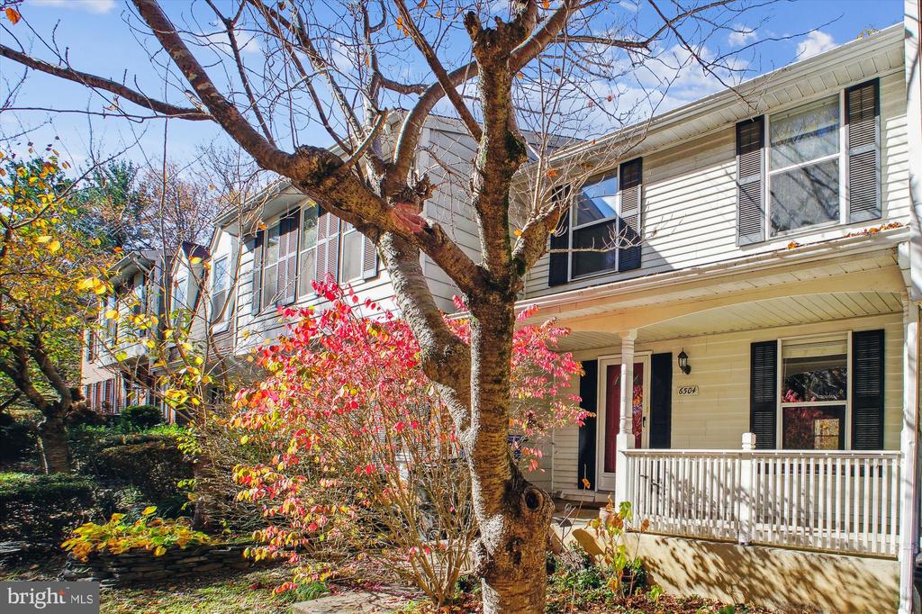 6504 ALEXIS LANE