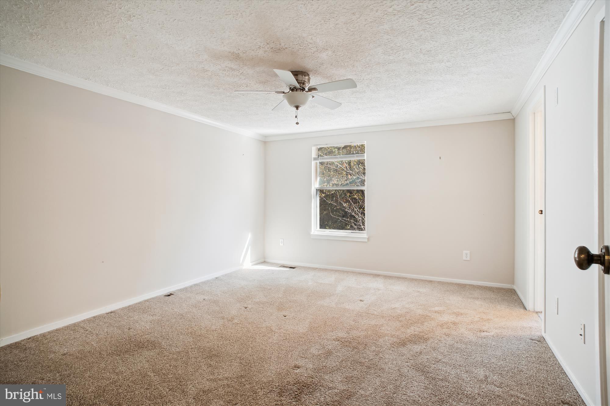 6504 ALEXIS LANE