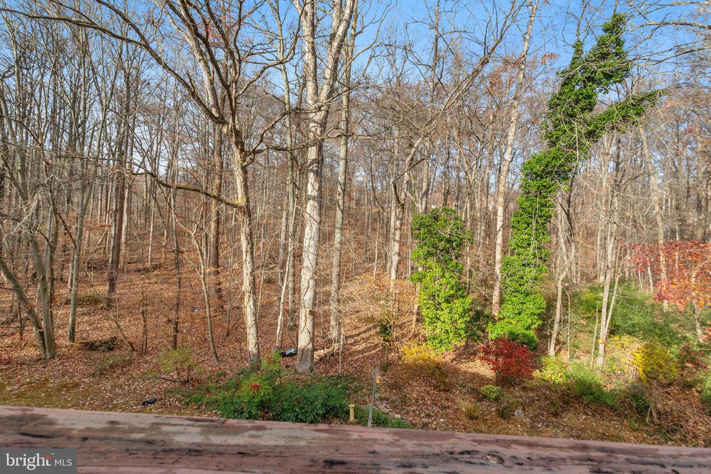 6111 Sweet Maple Ct