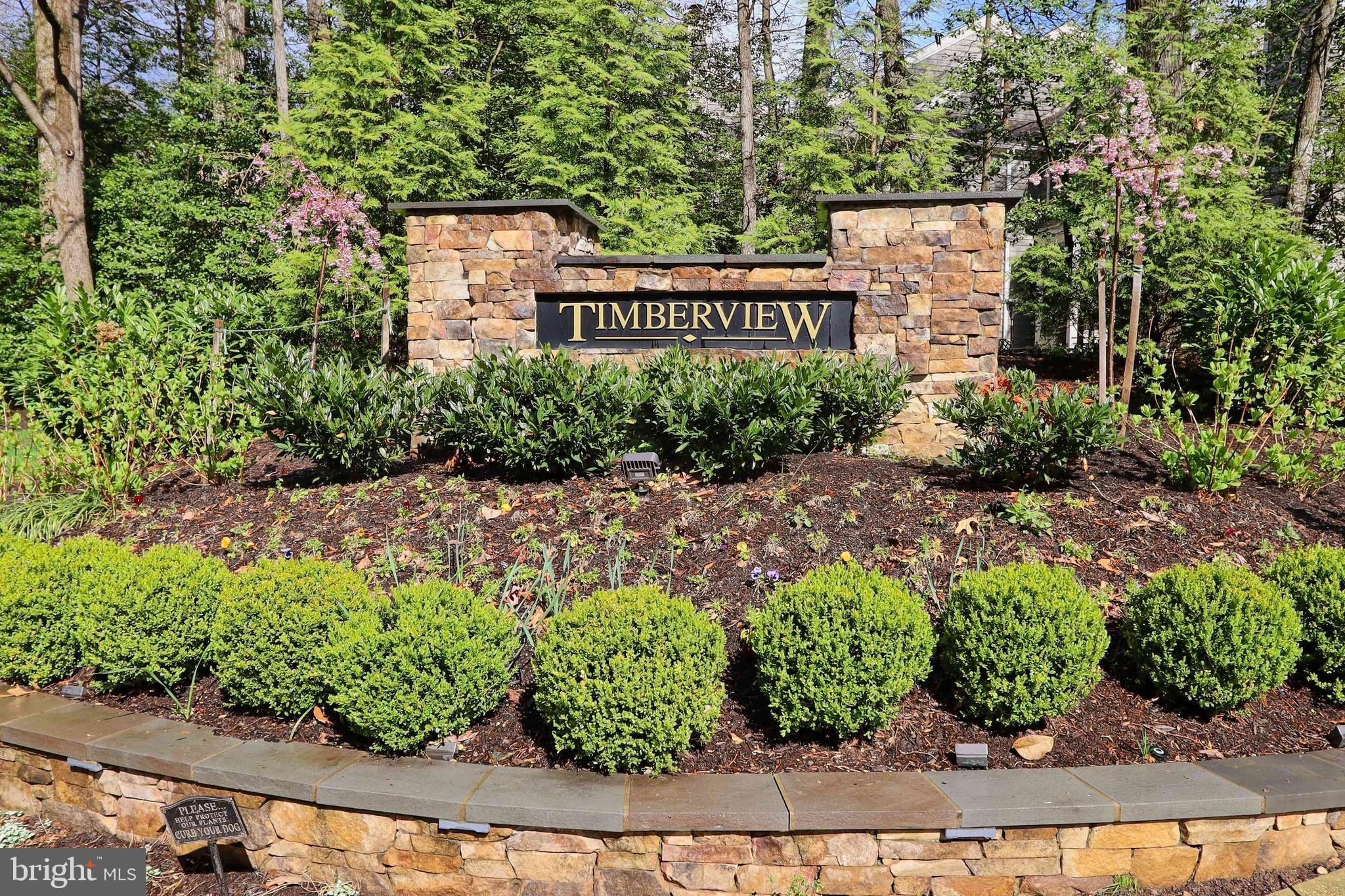 11423 Hollow Timber Way