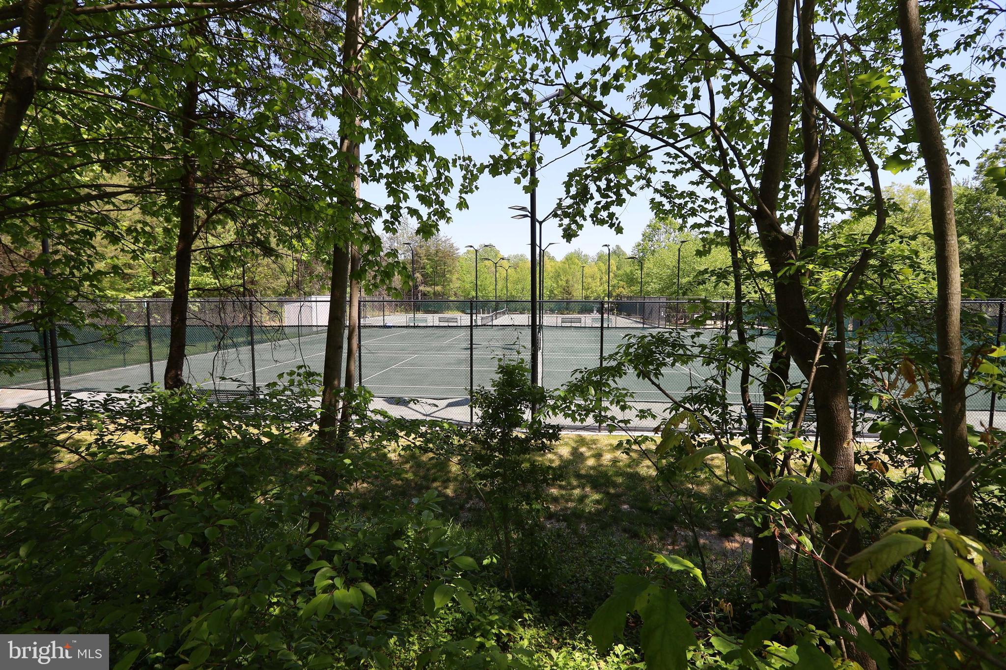 11423 Hollow Timber Way