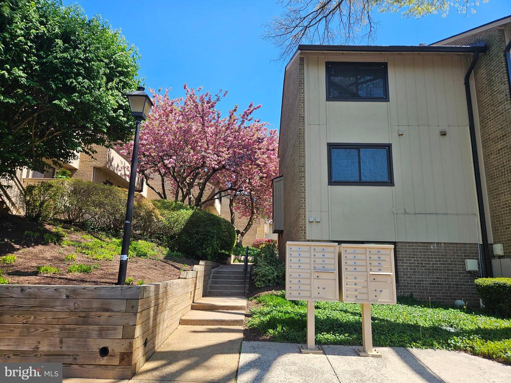 2493 GLENGYLE DRIVE 146