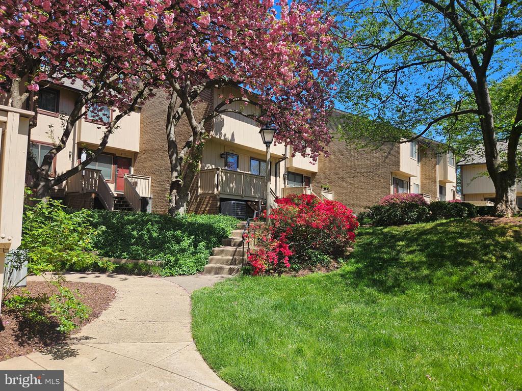 2493 GLENGYLE DRIVE 146