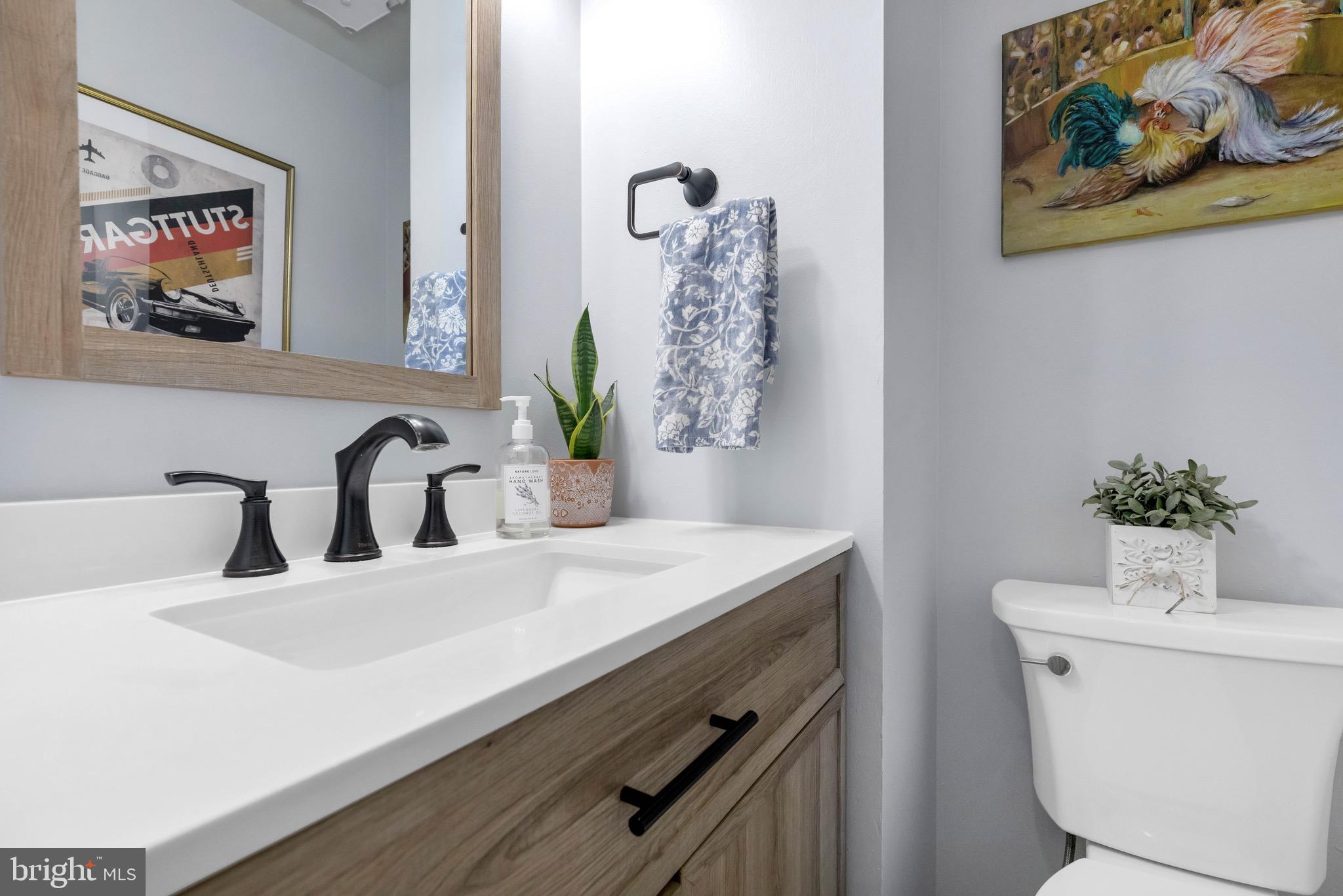 7033 SOLOMON SEAL COURT