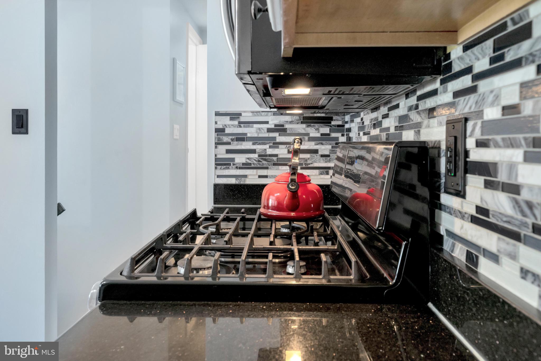 7033 SOLOMON SEAL COURT