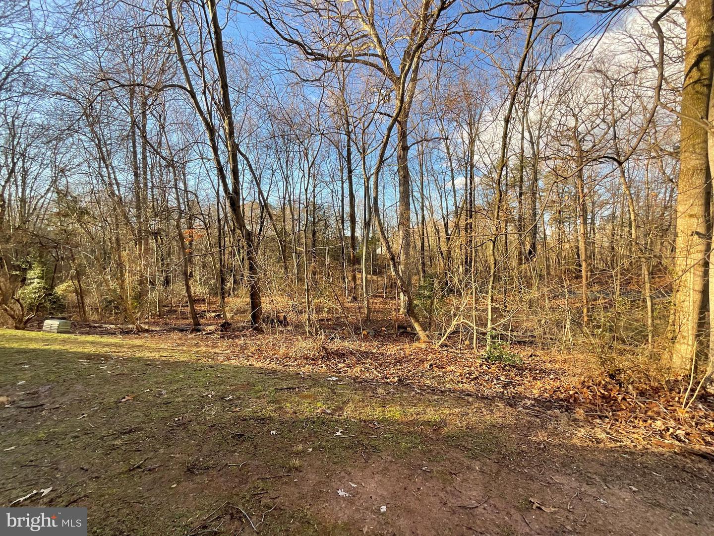 1565 TWISTED OAK DR